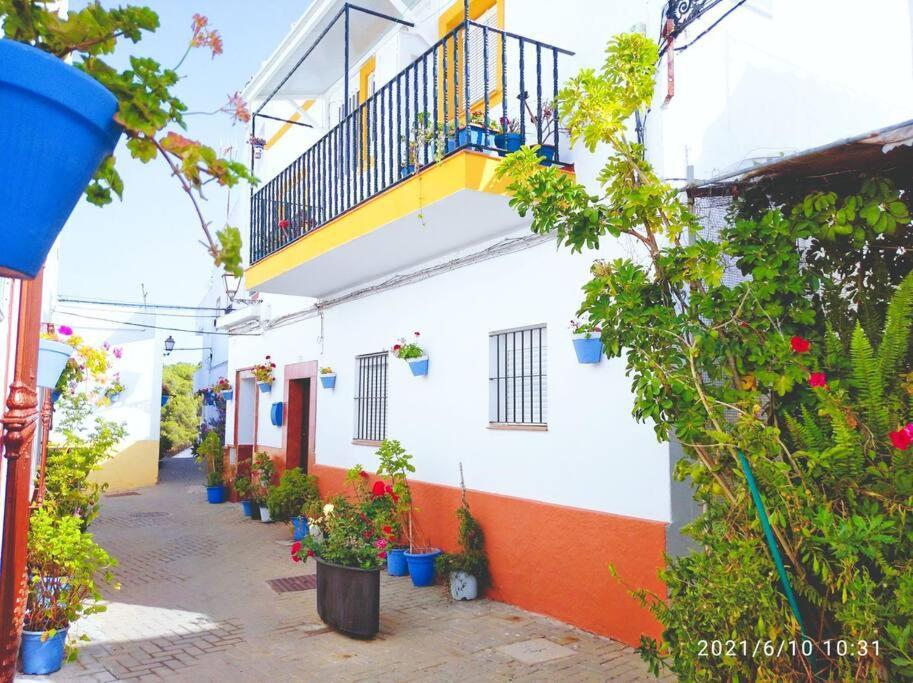 Casa Barrio De Pescadores Apartamento Conil De La Frontera